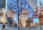 Reflective Thought Ground Zero - Trevor Unwin (open)
